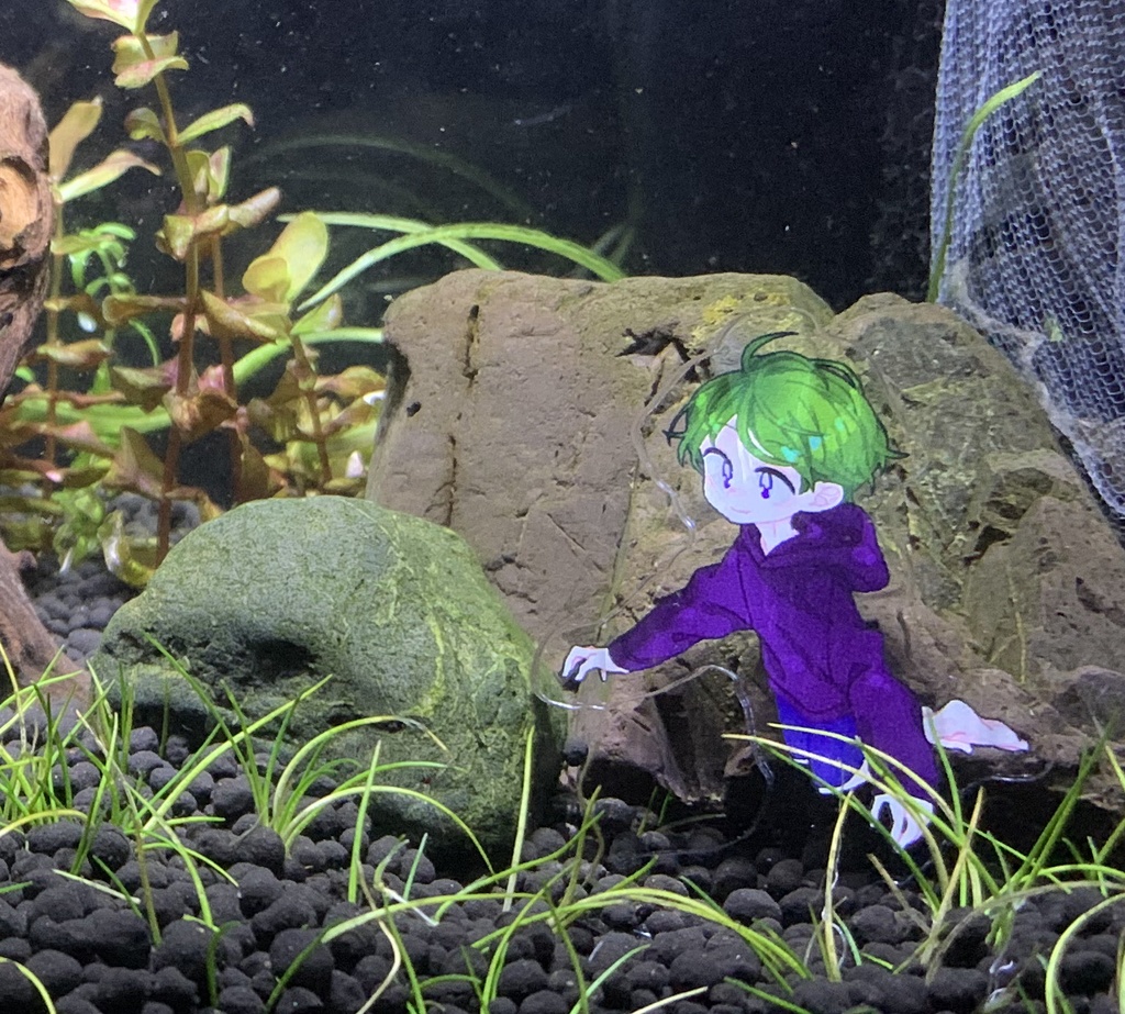 【bro.M】潜水ミーク