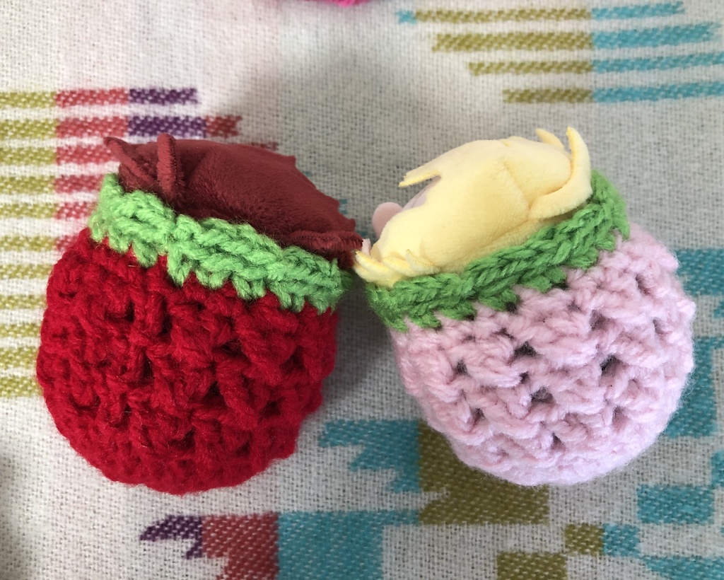 単品🍓苺着ぐるみ【赤】