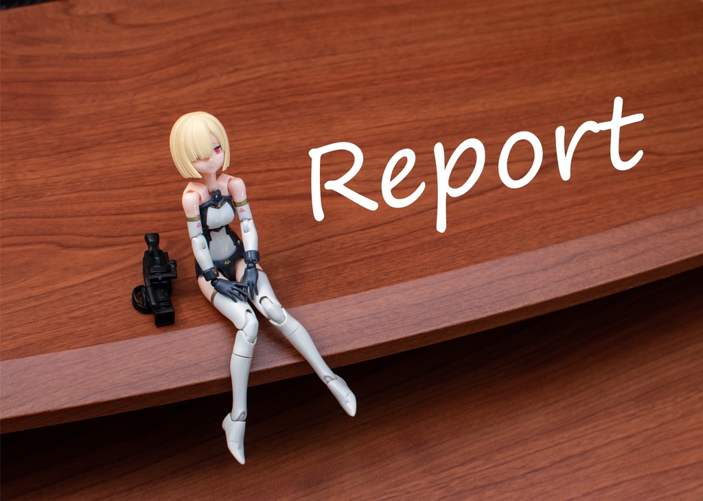Report
