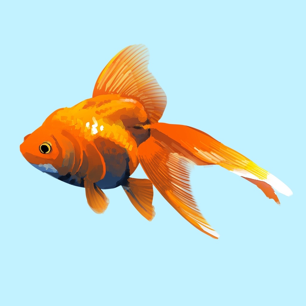 【ココフォリア用透過素材】ベタと金魚