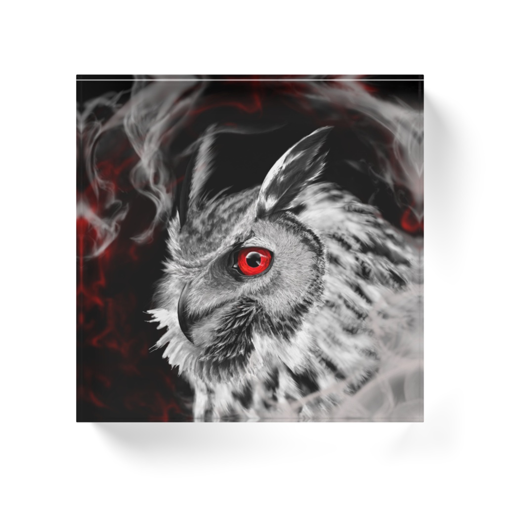 梟 アクリルブロック