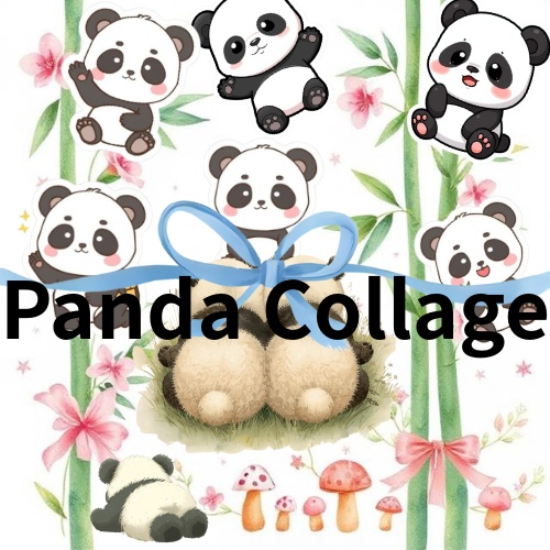 パンダcollage（Canva作成）