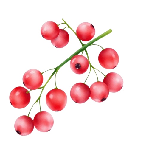 赤い果物(Canva作成)