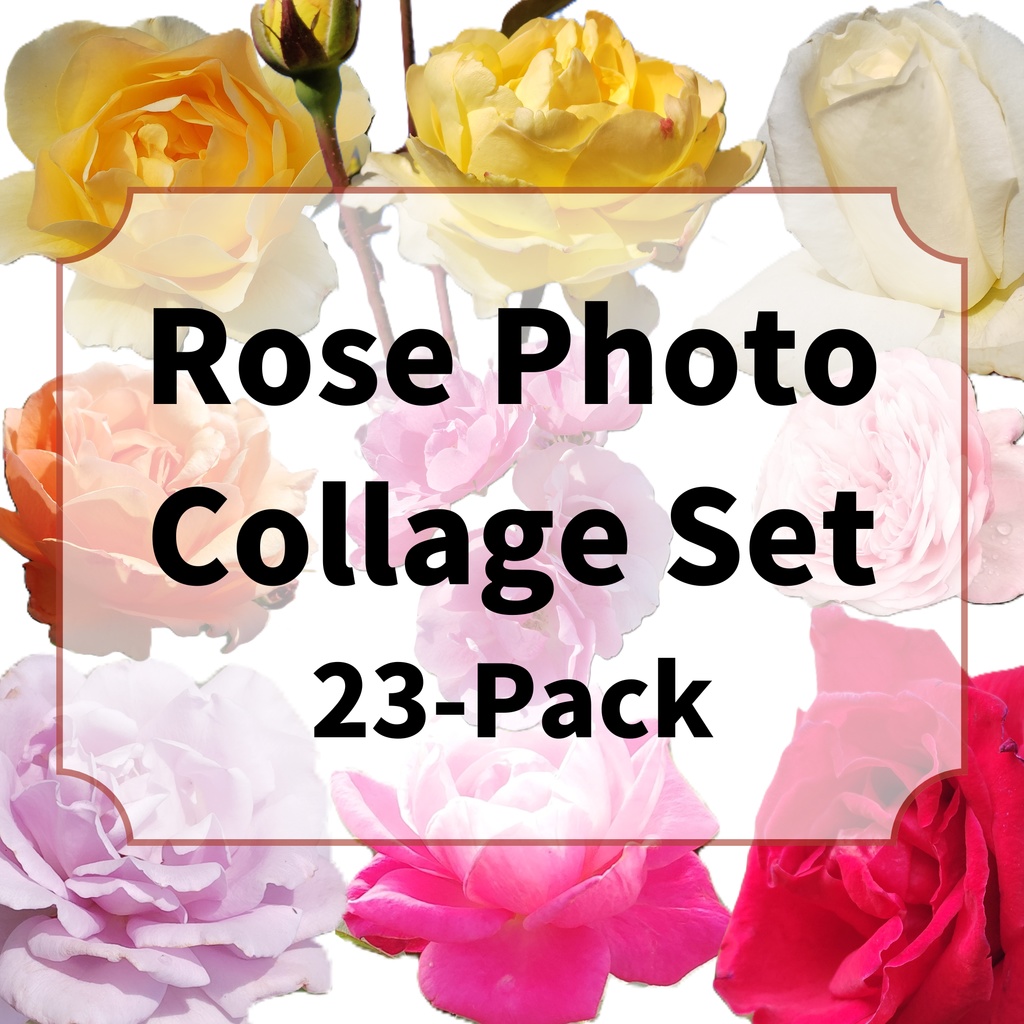 Rose Photo Collage Set