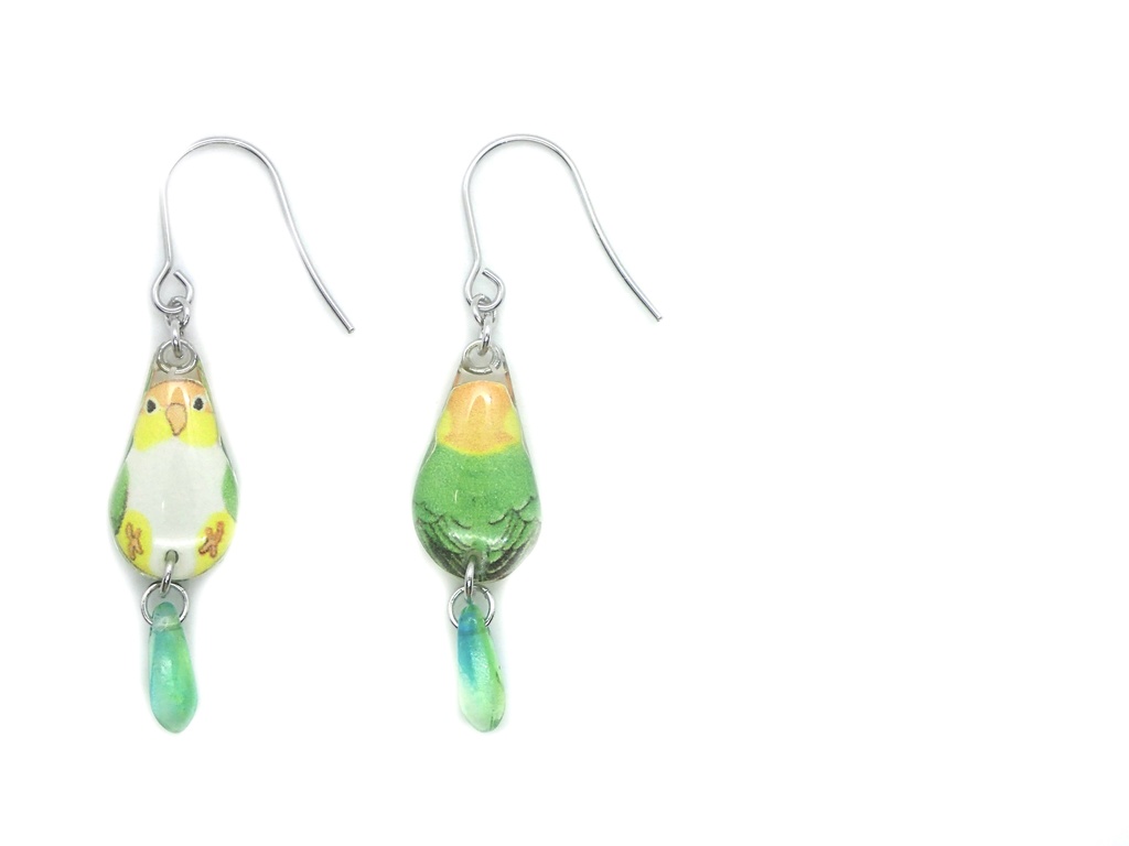 【ピアス】 シロハラインコ