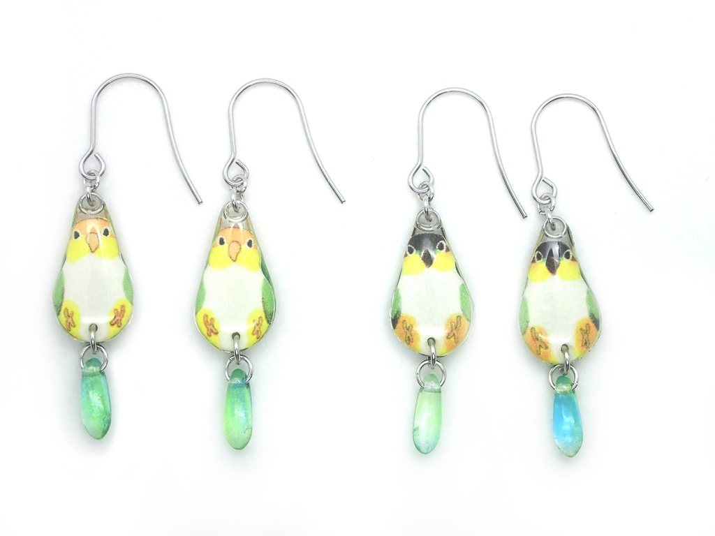 【ピアス】　シロハラインコ