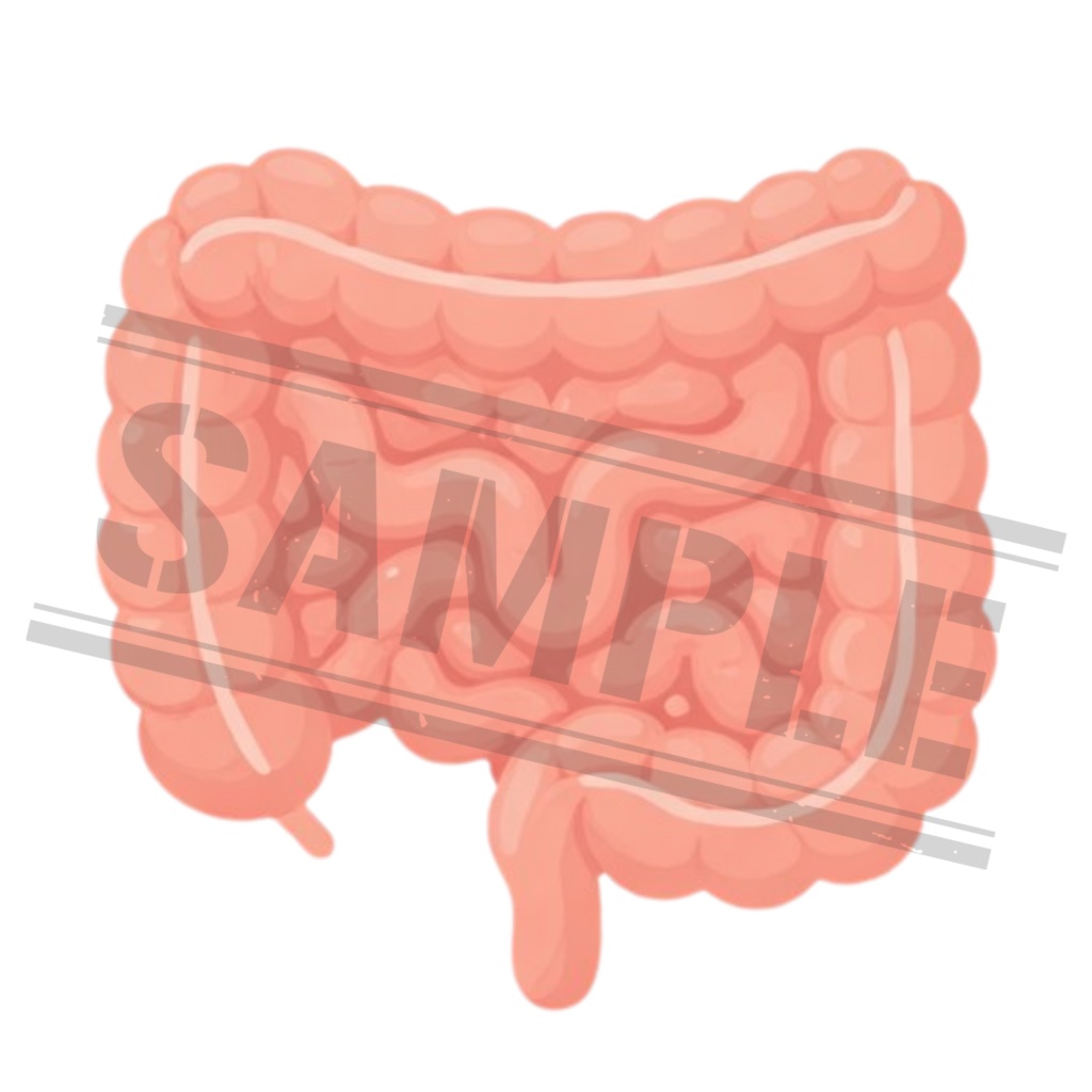 【医療素材】シンプル線画|医療クリップアート15点セット