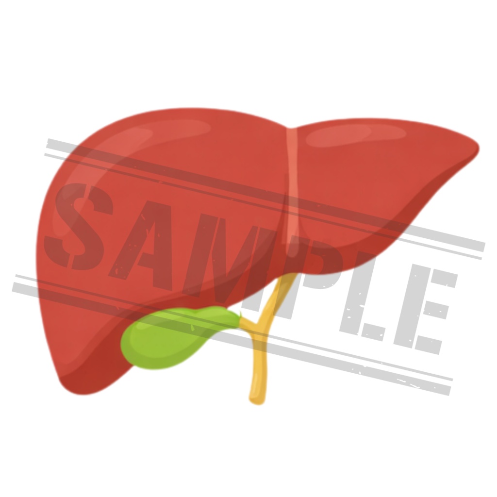 【医療素材】シンプル線画|医療クリップアート15点セット