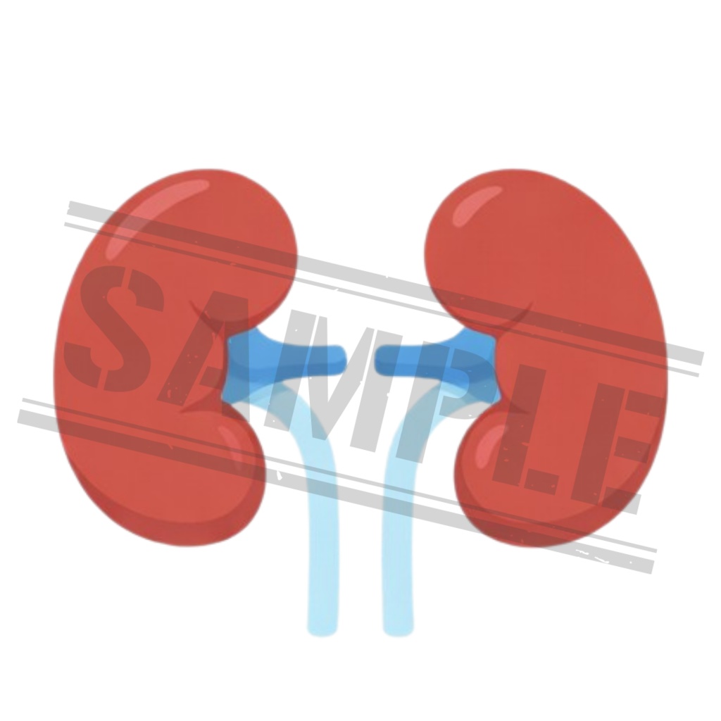 【医療素材】シンプル線画|医療クリップアート15点セット