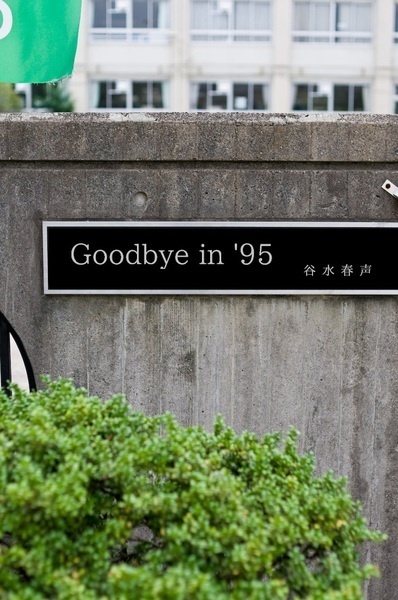 Goodbye in '95
