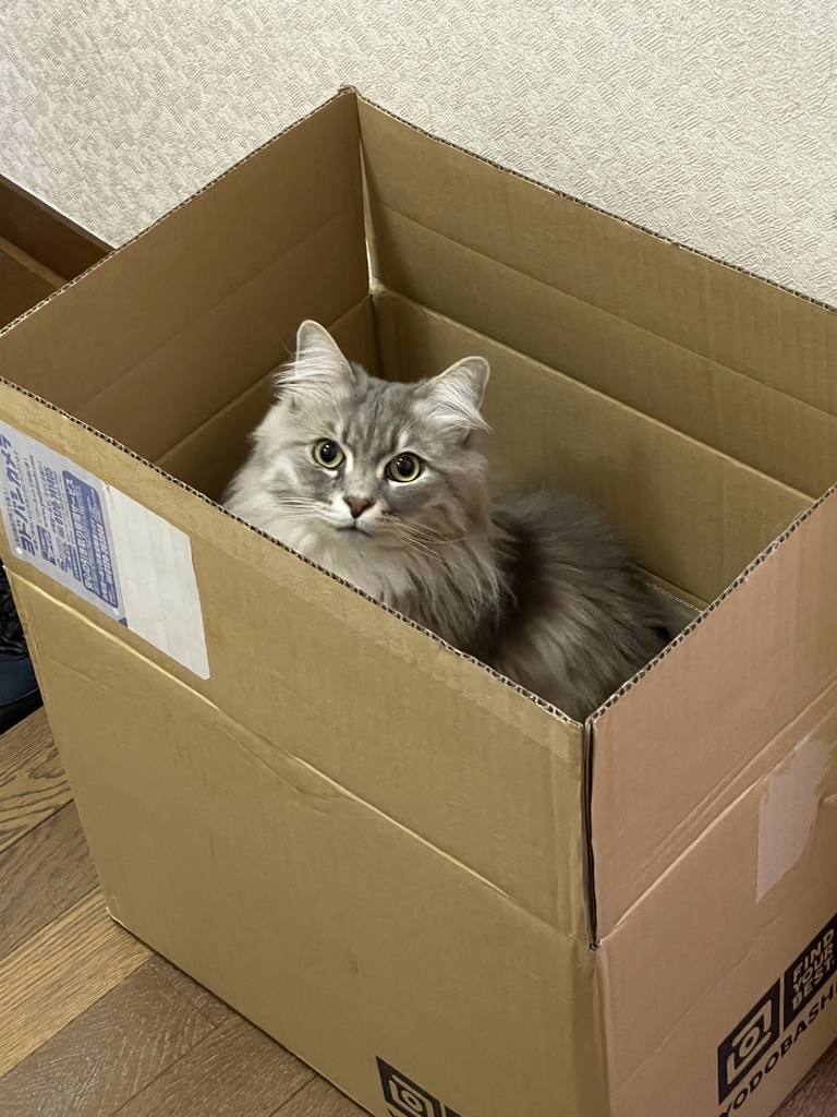 専用品です