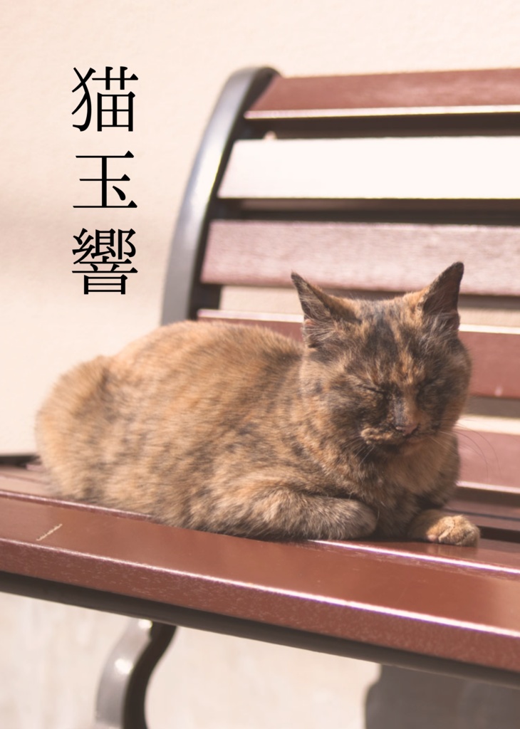 猫玉響