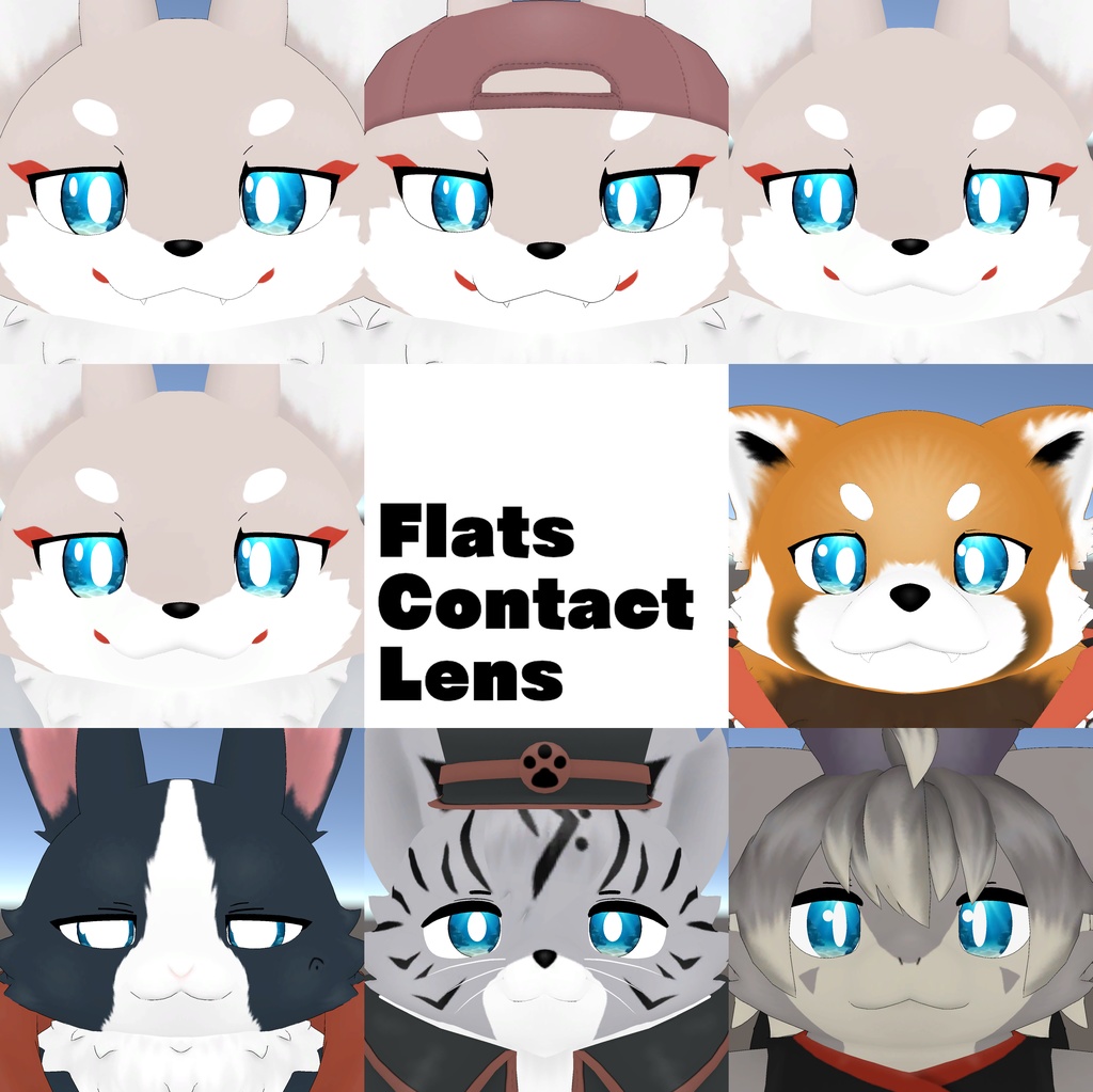 フラット族コンタクトレンズシステム 