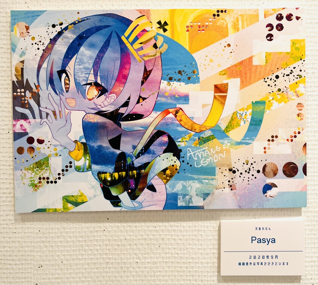 📷(パネル)
