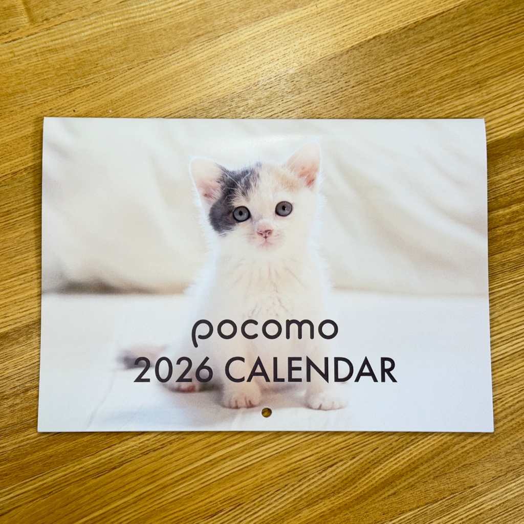 pocomoカレンダー2026 壁掛けB5