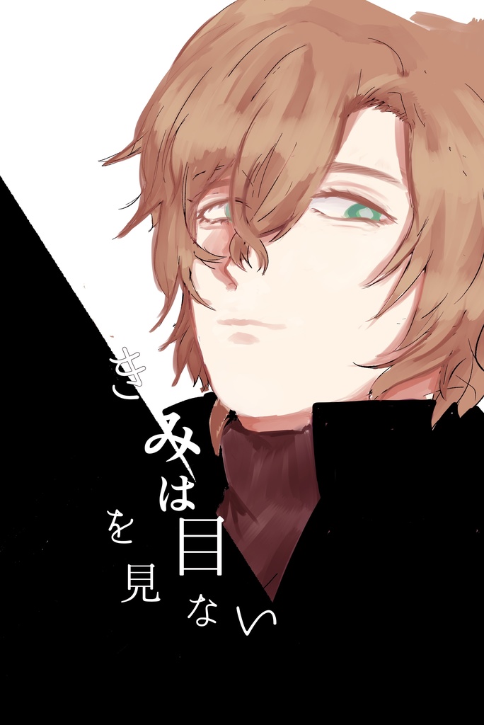 きみは目をみない