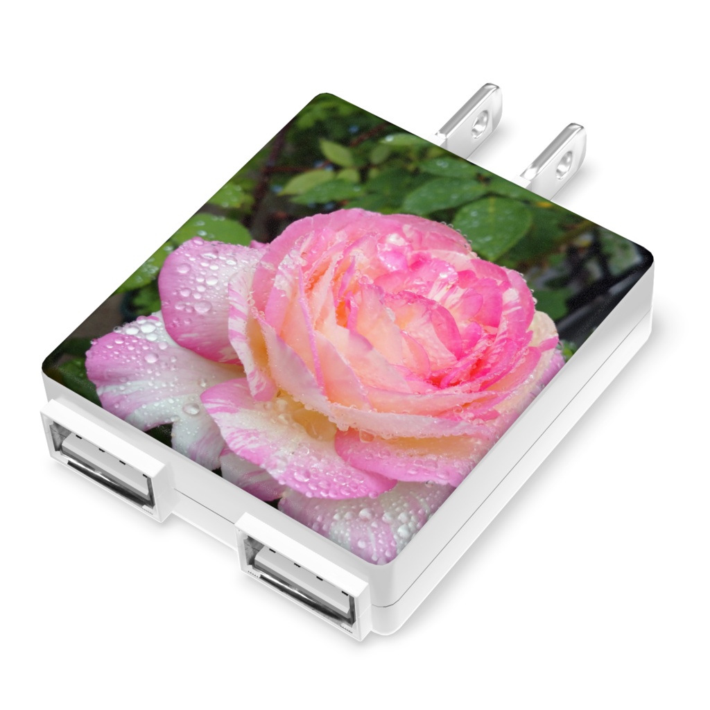 バラのUSB_ACアダプタ
