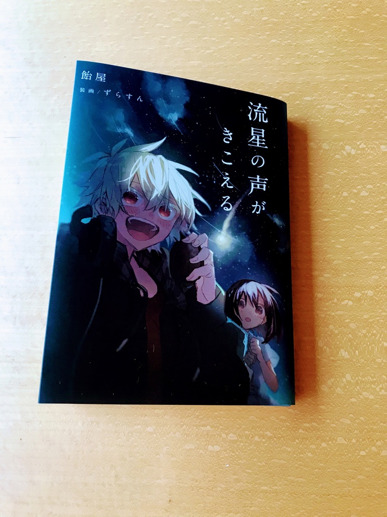 流星の声がきこえる 特装版