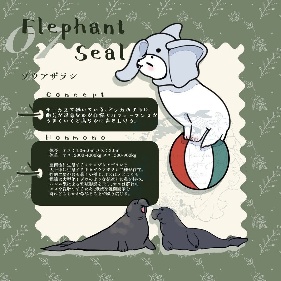 Concept&Honmono AZARASHI