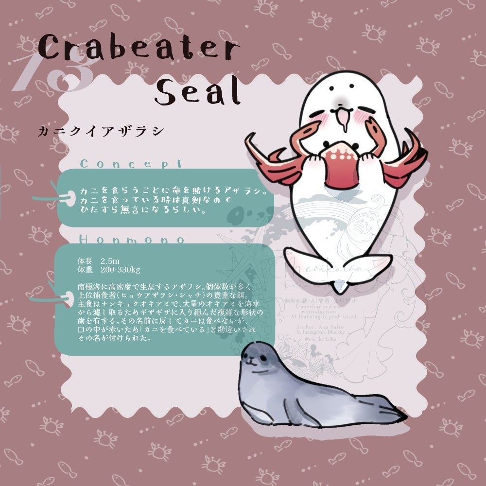 Concept&Honmono AZARASHI