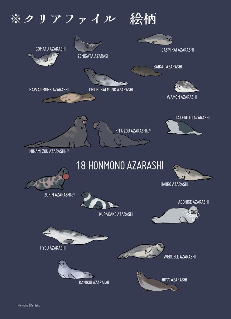 Concept&Honmono AZARASHI