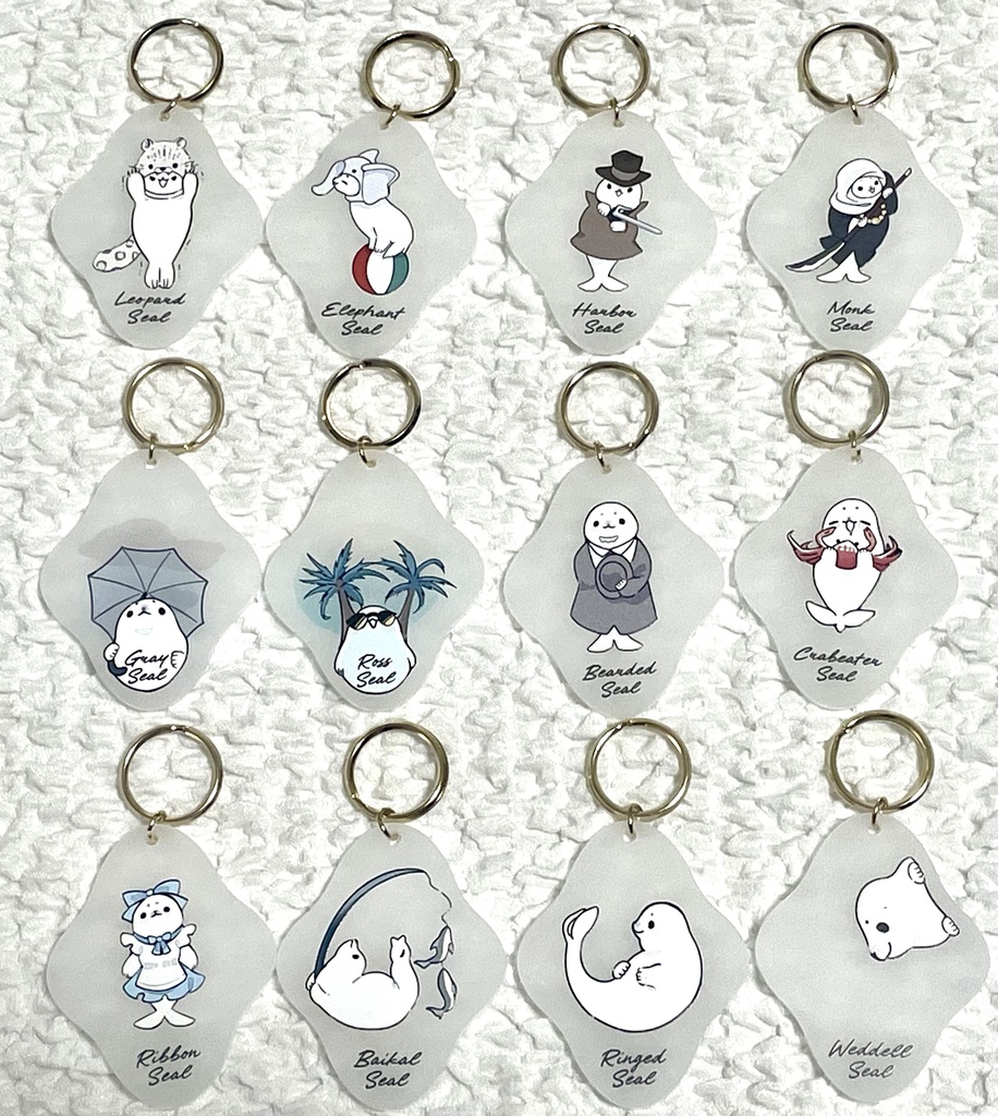 Concept&Honmono AZARASHI