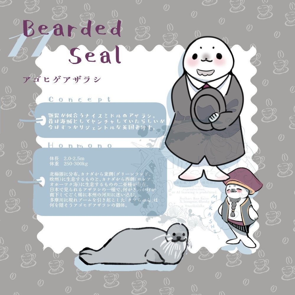 Concept&Honmono AZARASHI