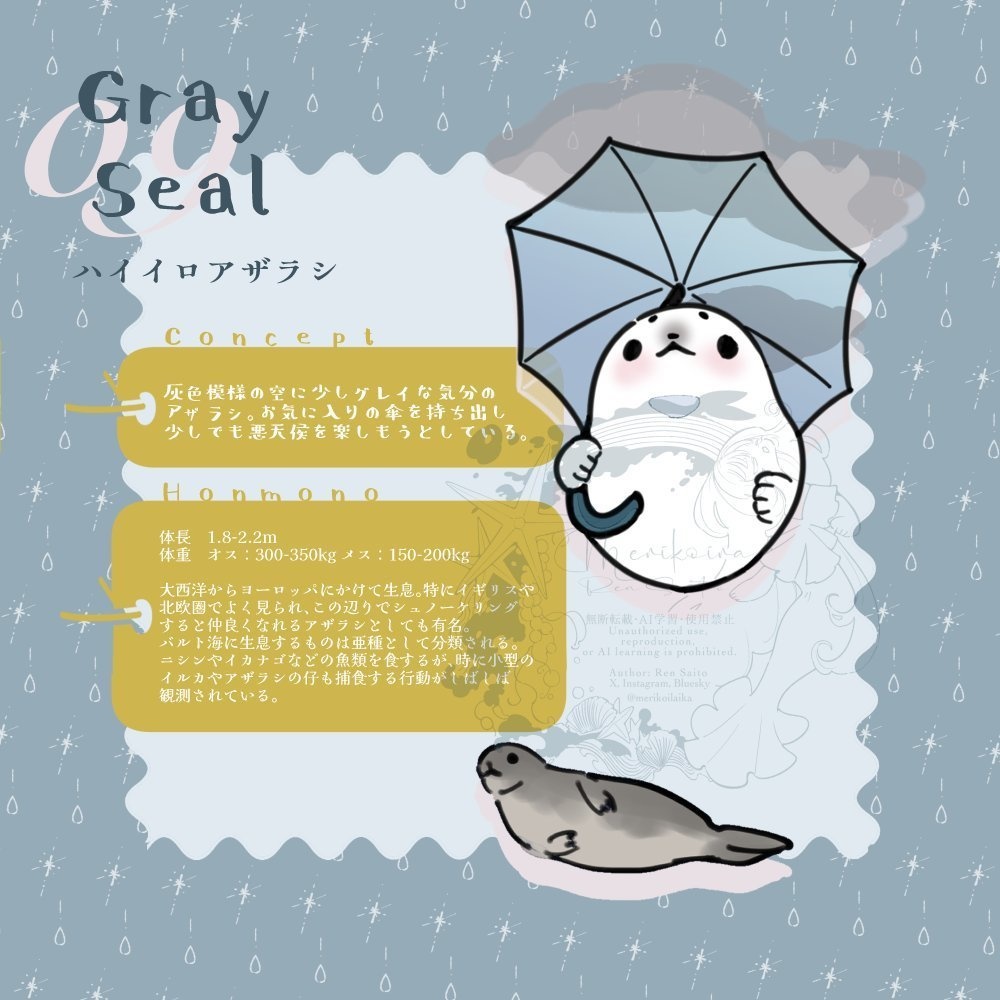 Concept&Honmono AZARASHI