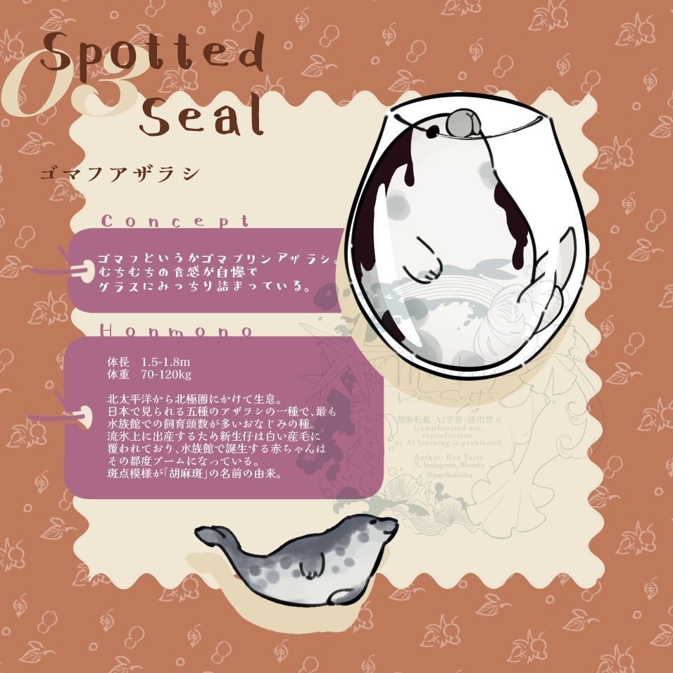 Concept&Honmono AZARASHI