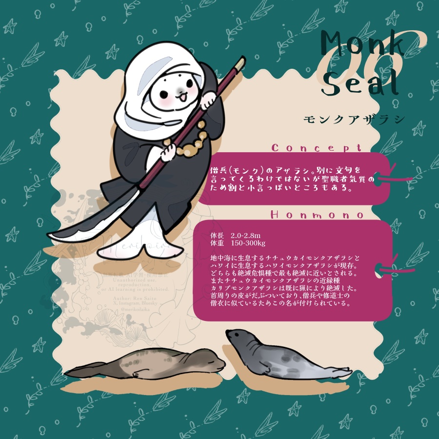 Concept&Honmono AZARASHI