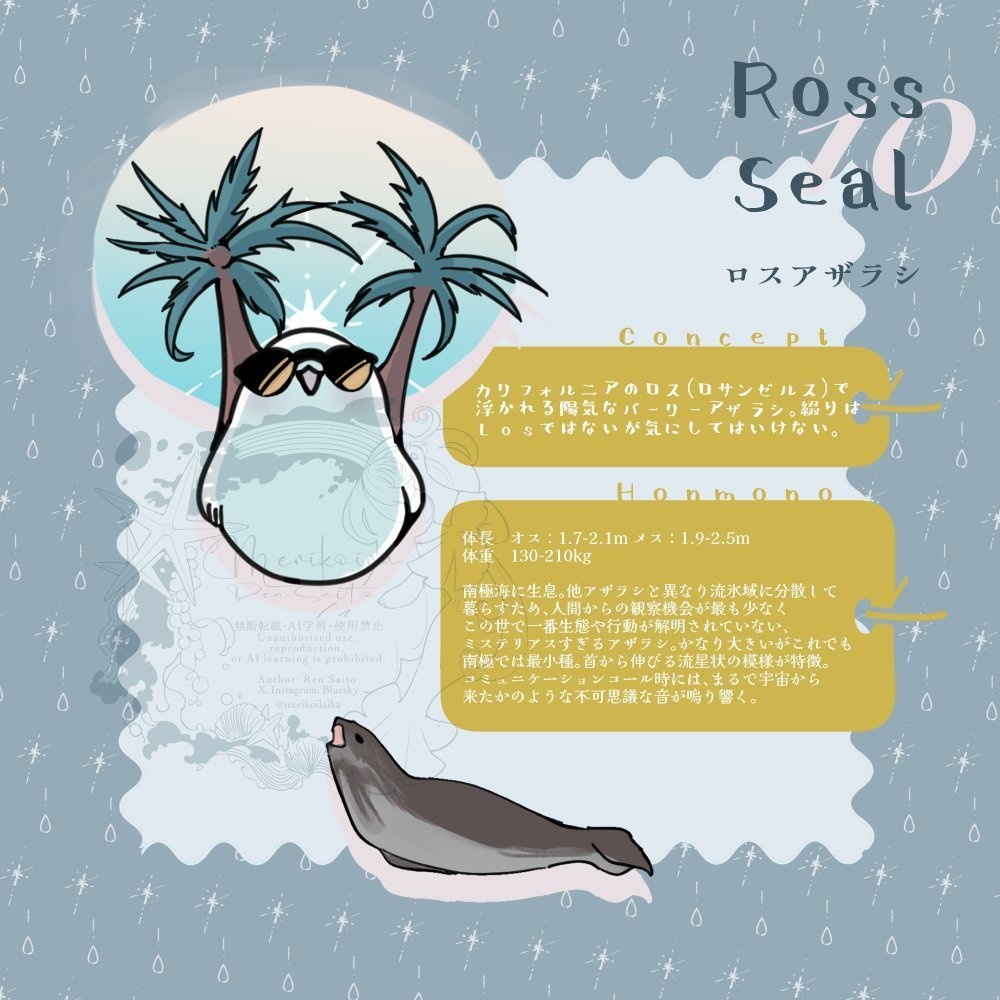 Concept&Honmono AZARASHI