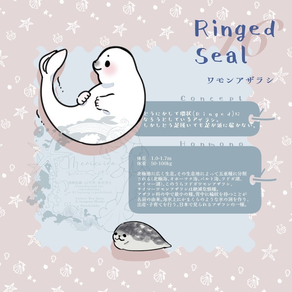 Concept&Honmono AZARASHI