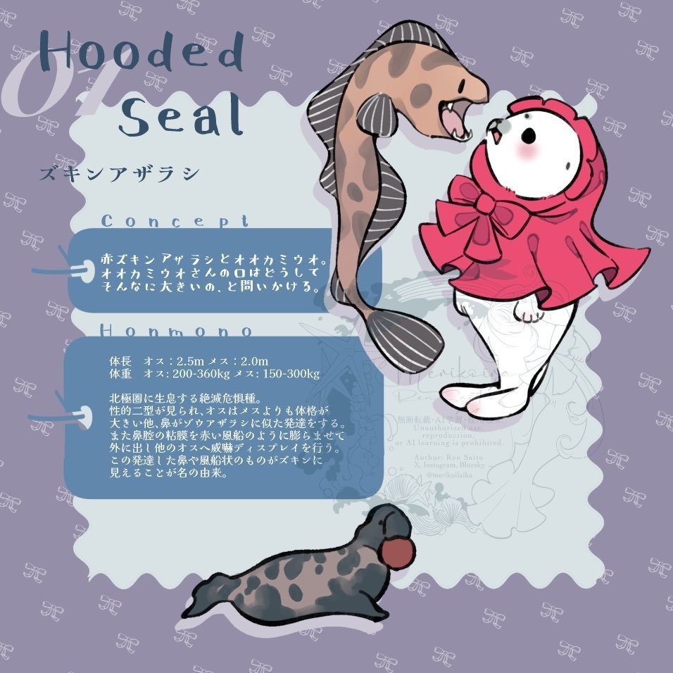 Concept&Honmono AZARASHI