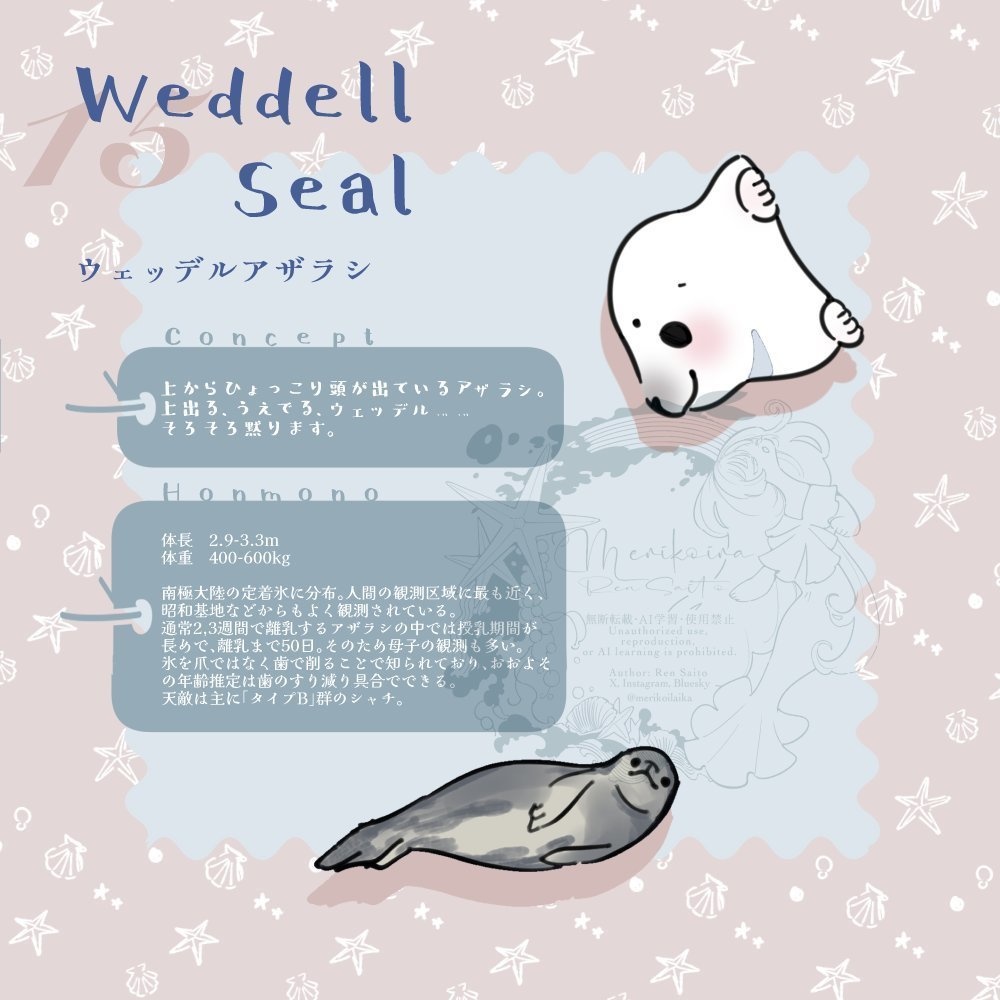 Concept&Honmono AZARASHI