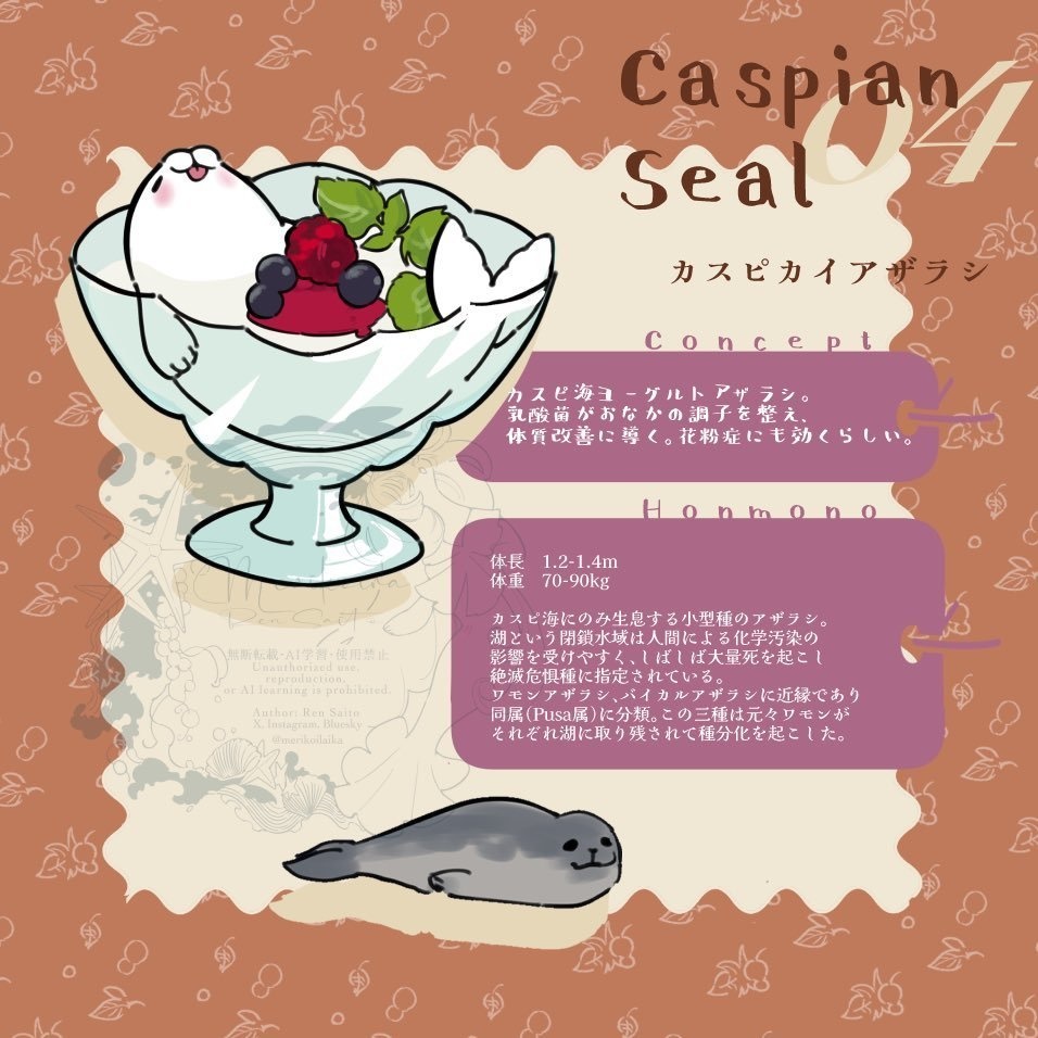 Concept&Honmono AZARASHI