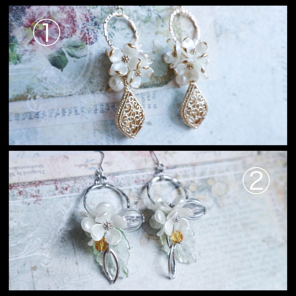 【twst】ガラレオナさん/ガララギーくん