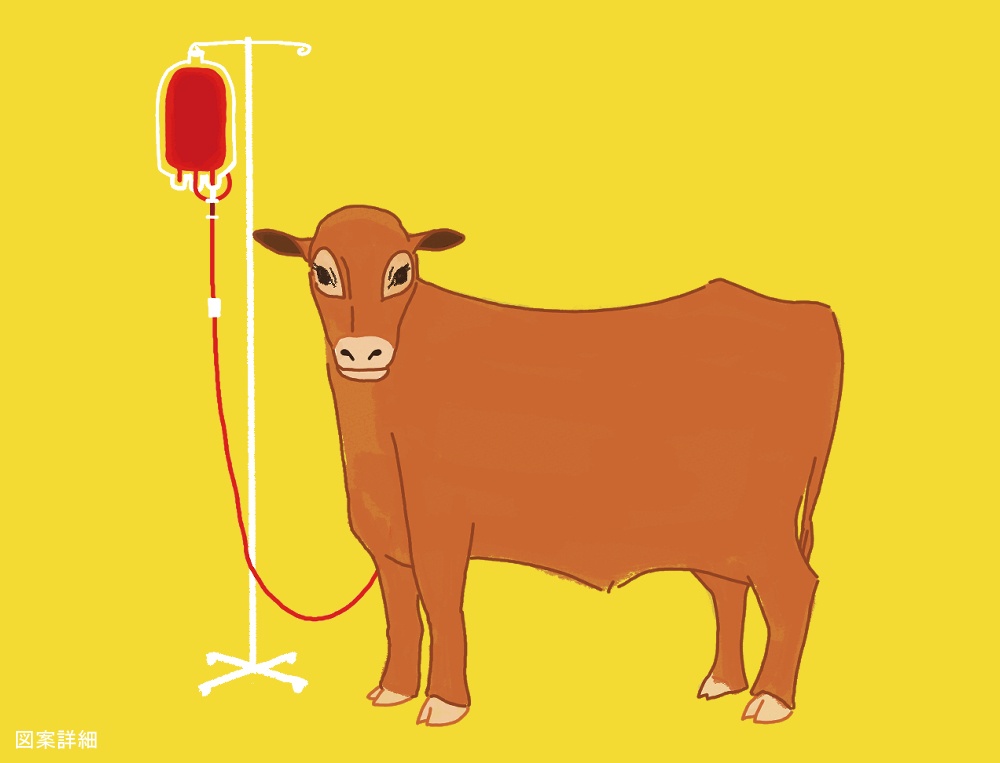 カルタ入れ(取扱期間外)