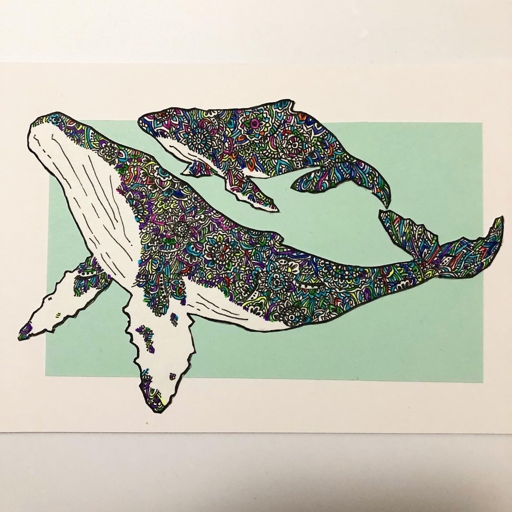 ザトウクジラ　親子