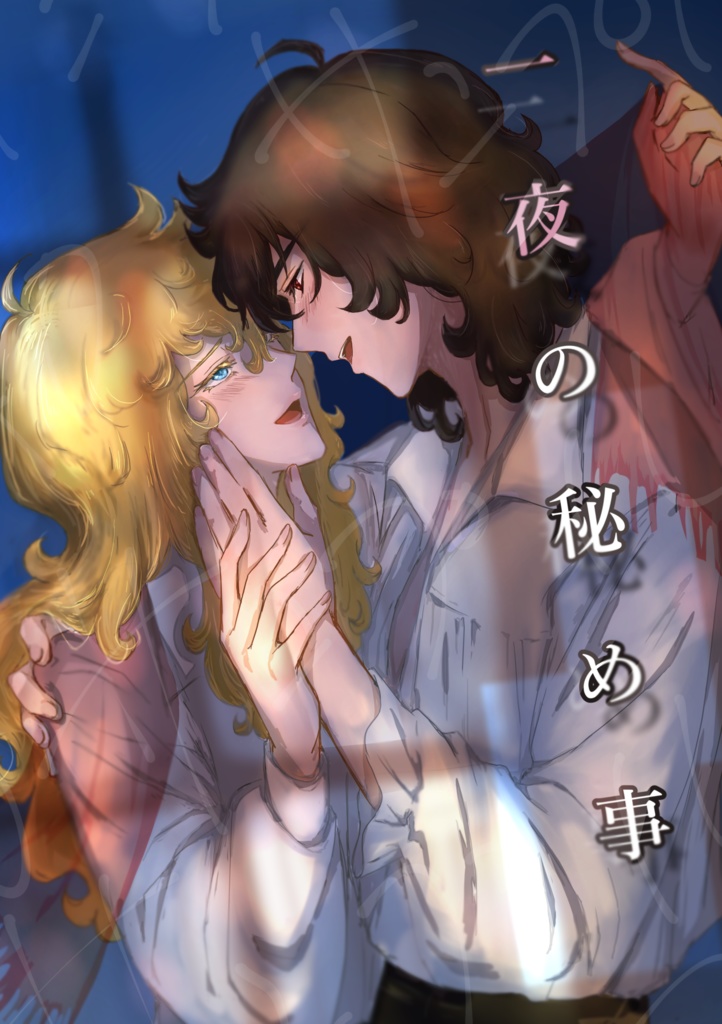 一夜の秘め事
