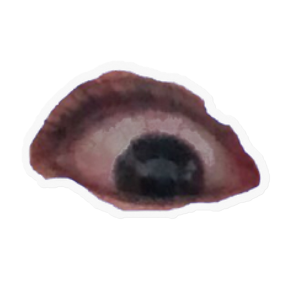 right eye