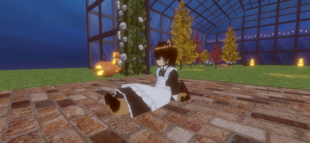 黒柴
