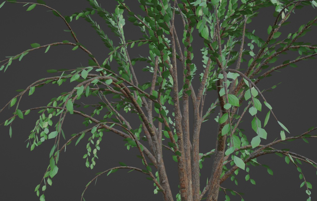 【Free】樹木 ローポリ【3Dモデル】