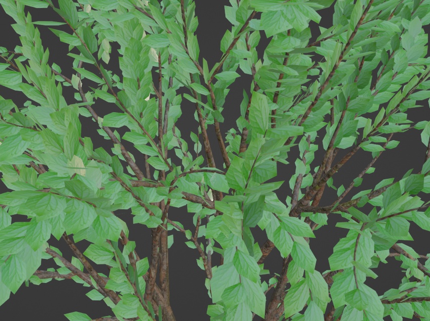 【Free】樹木 ローポリ【3Dモデル】