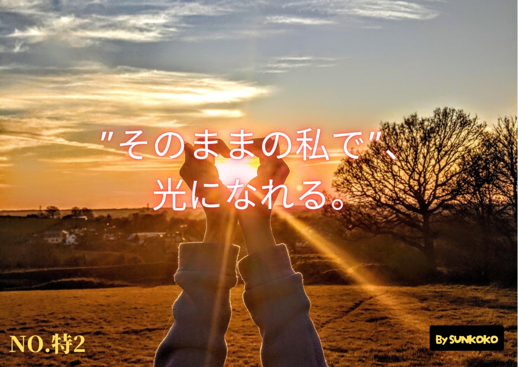 「心をととのえる優しい言葉」カウンセラー専用 自己否定と不安を癒すメッセージ集