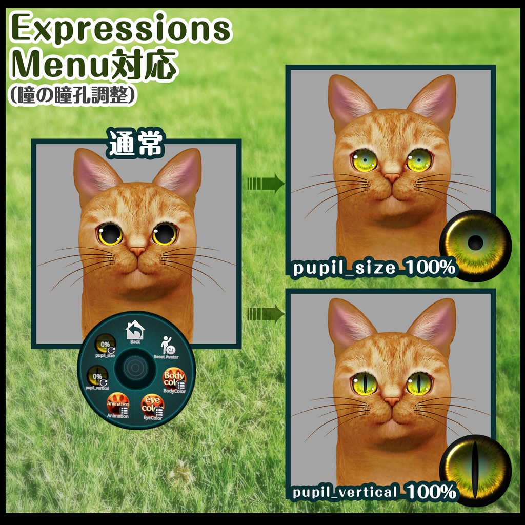 3Dキャラモデル≪cats≫