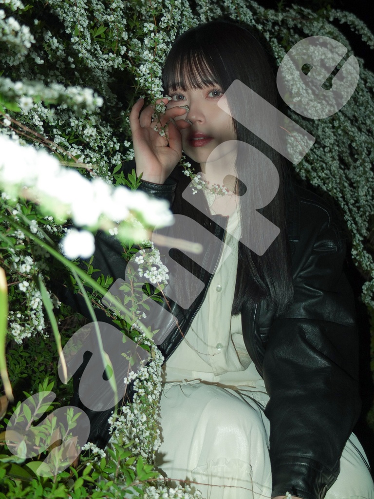 1st 写真集「はるのよる」From Etranger