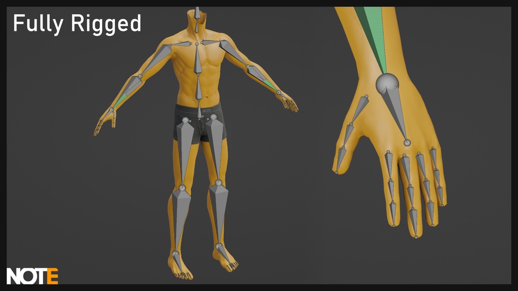 YoruBase - VRChat Male Basemesh