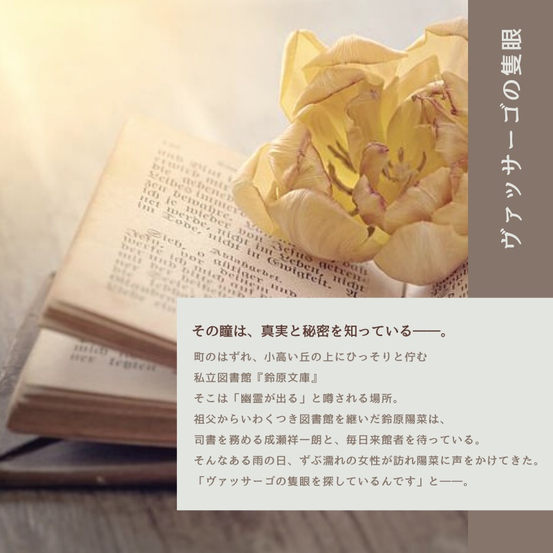 ヴァッサーゴの隻眼