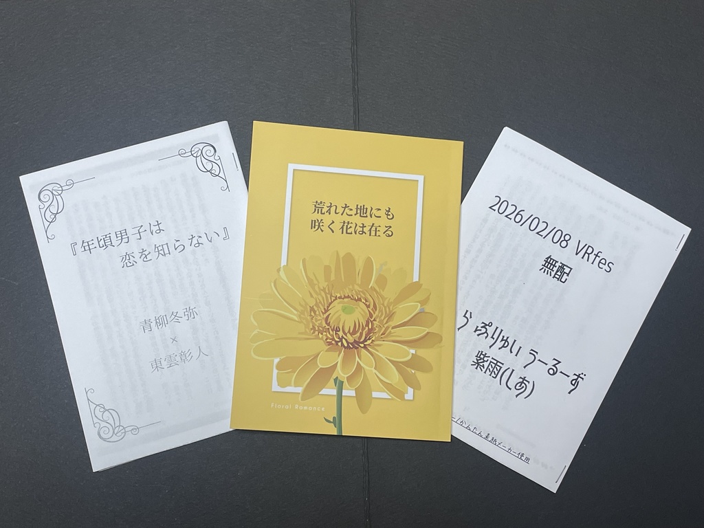 VRfes2026 新刊・コピー本・無配セット
