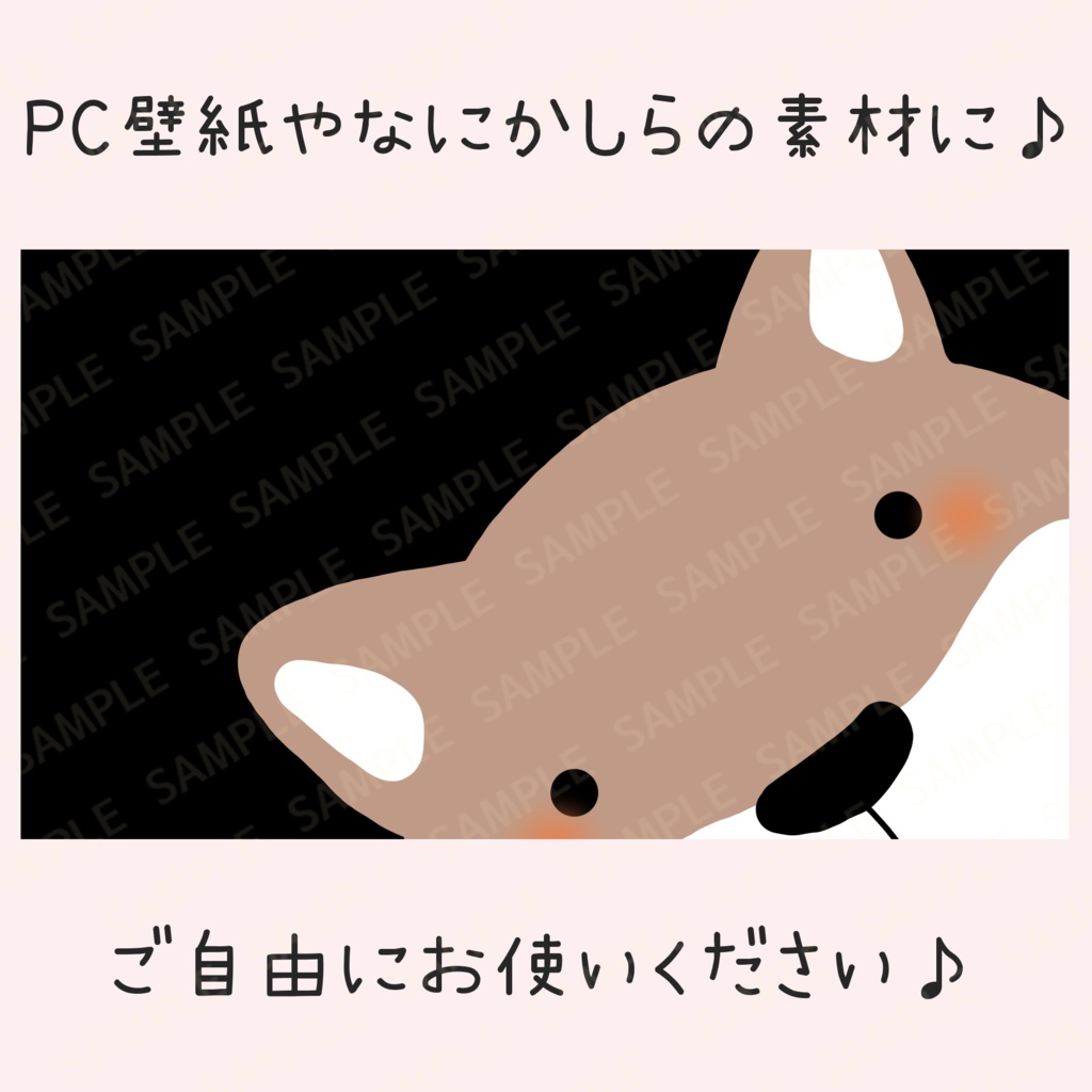 ひょっこり柴犬